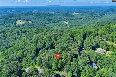 10 Northslope View, Landrum, SC 29356 - Photo 36