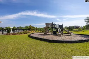 763 Spring Cress Dr, Lexington, SC 29073 - Photo 42