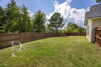 80 Crossfox Court, Chapin, SC 29036 - Photo 34