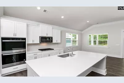 141 Sunny Stream Drive, Chapin, SC 29036 - Photo 4