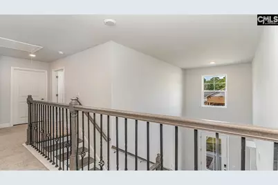 145 Sunny Stream Drive, Chapin, SC 29036 - Photo 16