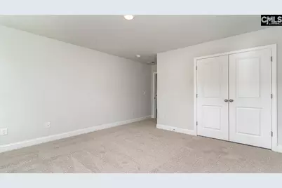 145 Sunny Stream Drive, Chapin, SC 29036 - Photo 26