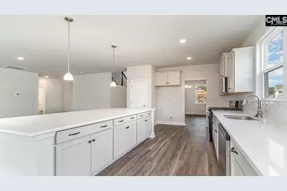 145 Sunny Stream Drive, Chapin, SC 29036 - Photo 8