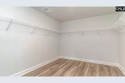 145 Sunny Stream Drive, Chapin, SC 29036 - Photo 20