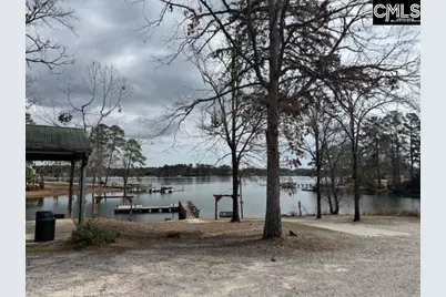 44 Tennis Court, Chapin, SC 29036 - Photo 4