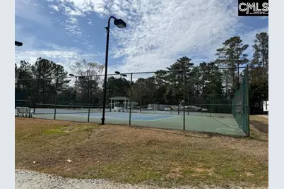 44 Tennis Court, Chapin, SC 29036 - Photo 2