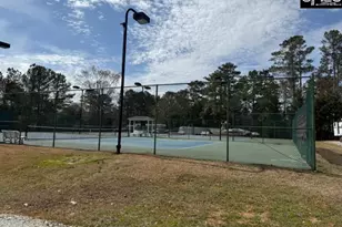 44 Tennis Ct, Chapin, SC 29036 - Photo 2
