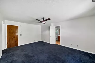 12 Dennis Lane, Blythewood, SC 29016 - Photo 32