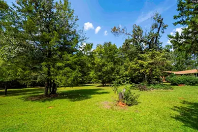 12 Dennis Lane, Blythewood, SC 29016 - Photo 4