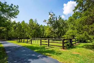 12 Dennis Ln, Blythewood, SC 29016 - Photo 58