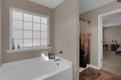 191 Whispering Oak Lane, Chapin, SC 29036 - Photo 4