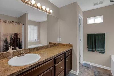 191 Whispering Oak Lane, Chapin, SC 29036 - Photo 16