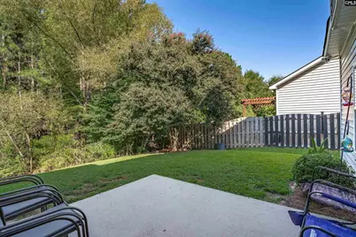 191 Whispering Oak Lane, Chapin, SC 29036 - Photo 20