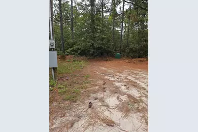 406 Sells Court, Pelion, SC 29123 - Photo 6