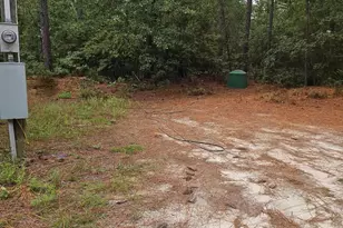 406 Sells Ct, Pelion, SC 29123 - Photo 6