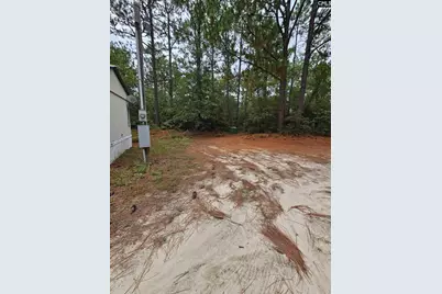 406 Sells Court, Pelion, SC 29123 - Photo 4