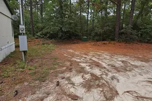 406 Sells Ct, Pelion, SC 29123 - Photo 4