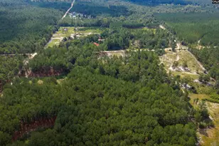1518 Martin Smith Rd, Leesville, SC 29070 - Photo 42