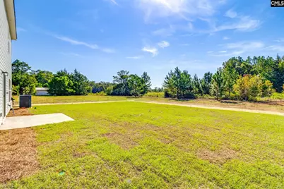169 Olin Rikard Road, Gaston, SC 29053 - Photo 36