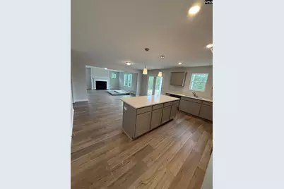 202 Denington Drive, Elgin, SC 29045 - Photo 6