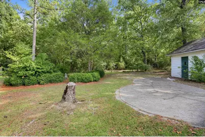 92 Old Well Road, Irmo, SC 29063 - Photo 8