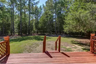 539 Old Bush River Road, Chapin, SC 29036 - Photo 38