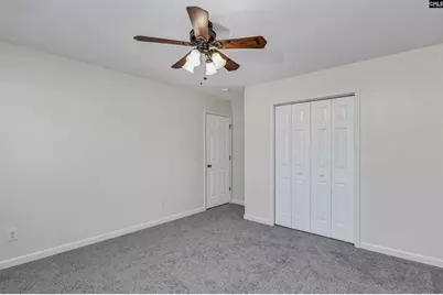 539 Old Bush River Road, Chapin, SC 29036 - Photo 30