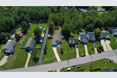 539 Old Bush River Road, Chapin, SC 29036 - Photo 52