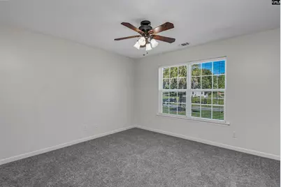 539 Old Bush River Road, Chapin, SC 29036 - Photo 28
