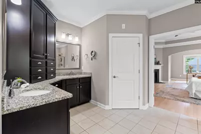220 Indigo Hills Drive, Chapin, SC 29036 - Photo 24