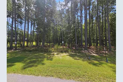 Lot 6 Stewart Landing Drive, Prosperity, SC 29127 - Photo 1