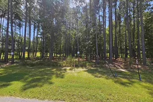 Lot 6 Stewart Landing Dr, Prosperity, SC 29127 - Photo 1