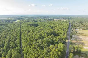 583 Stokes Rd, Walterboro, SC 29488 - Photo 62