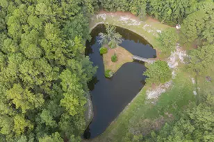 583 Stokes Rd, Walterboro, SC 29488 - Photo 56