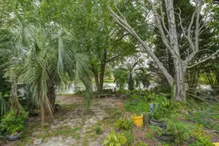 148 Sawgrass Ct, West Columbia, SC 29172 - Photo 50