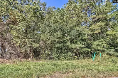0 E/S Sumpter Road, Hopkins, SC 29061 - Photo 6