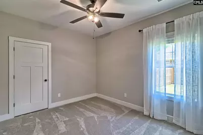 256 Murray Falls Lane, Chapin, SC 29036 - Photo 50