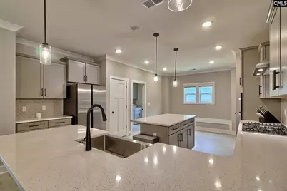 256 Murray Falls Lane, Chapin, SC 29036 - Photo 18