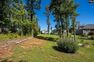 105 Somerset Ct, Leesville, SC 29070 - Photo 48
