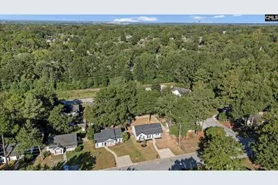505 Burnside Drive, Columbia, SC 29209 - Photo 30