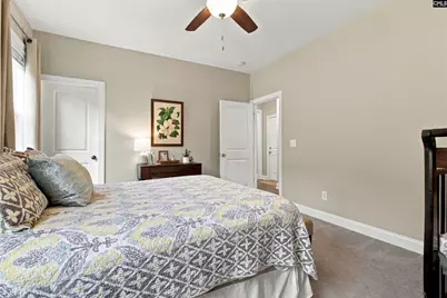 331 Springbrook Way, Chapin, SC 29036 - Photo 20