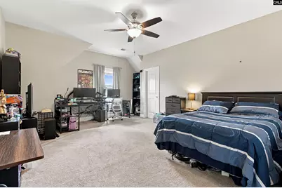 331 Springbrook Way, Chapin, SC 29036 - Photo 32