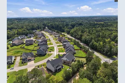 331 Springbrook Way, Chapin, SC 29036 - Photo 52