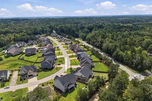 331 Springbrook Wy, Chapin, SC 29036 - Photo 52