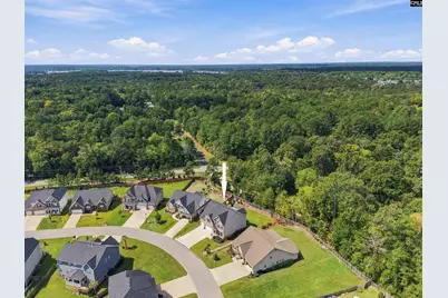 331 Springbrook Way, Chapin, SC 29036 - Photo 50