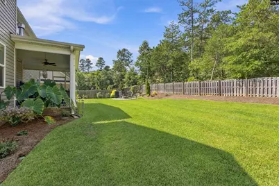 331 Springbrook Way, Chapin, SC 29036 - Photo 46