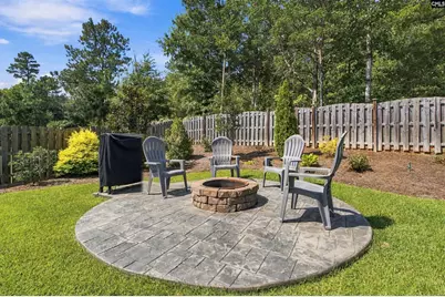 331 Springbrook Way, Chapin, SC 29036 - Photo 6