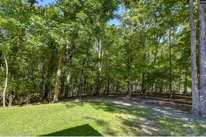 1009 Shadywood Lane, Irmo, SC 29063 - Photo 18