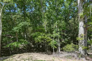 1009 Shadywood Ln, Irmo, SC 29063 - Photo 14