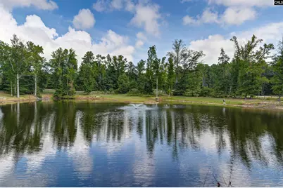 1492 Fulmer Road, Blythewood, SC 29016 - Photo 68